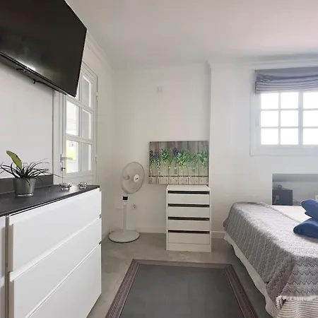 Apartment Center Penthouse Near The