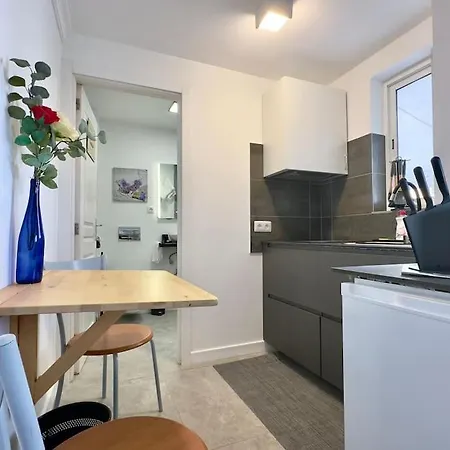 Center Penthouse Near The Apartment Puerto de la Cruz (Tenerife)