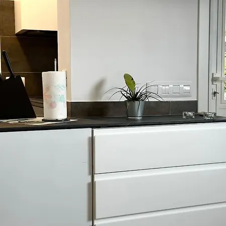 Center Penthouse Near The Apartment