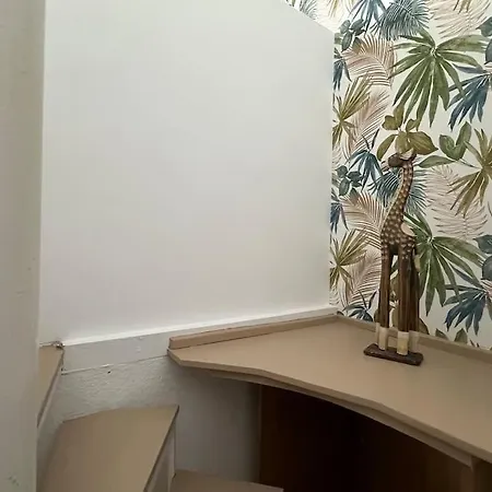 Apartment Center Penthouse Near The