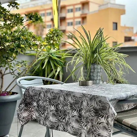 Apartment Center Penthouse Near The